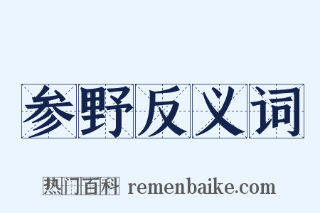 参野反义词是什么意思的图片